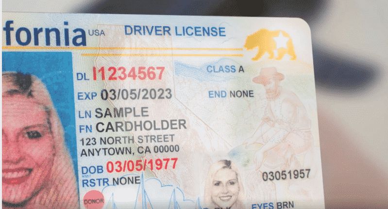 California will start accepting applications for driving licences of the new sample