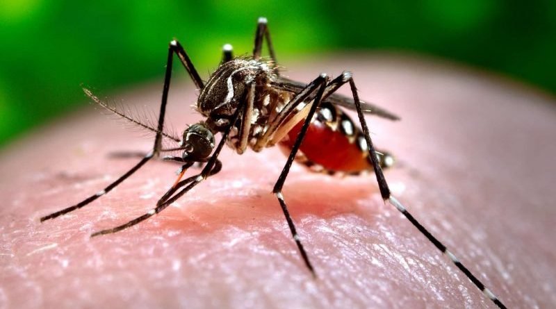 In Los Angeles confirmed the first case of zika virus infection after sexual contact