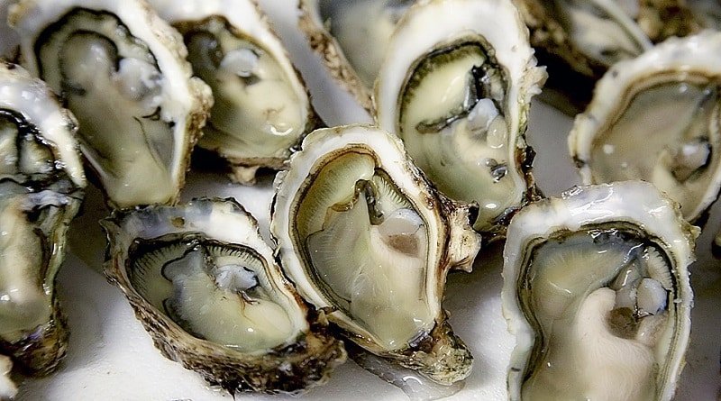 Texan vibrios died after eating raw oysters