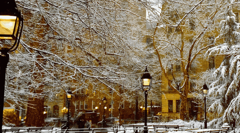 Winter in new York to remind yourself of the snow and frost
