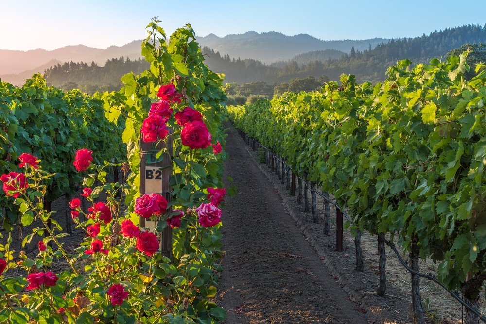 Where to go for the weekend: charming small towns in California