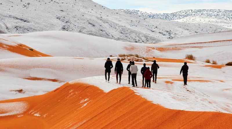 In the Sahara desert dropped 40 cm of snow