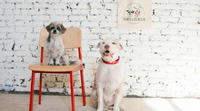 East Village offers cafes, where you can go with a dog
