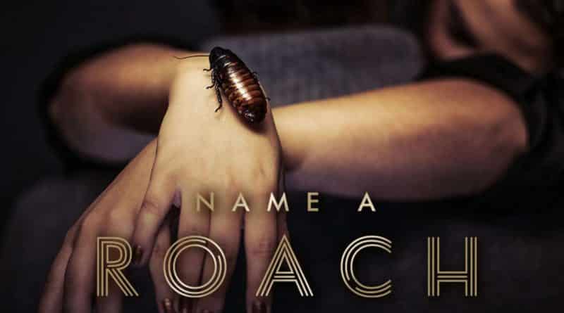 Valentine’s day in new York: name a cockroach in honor of the former