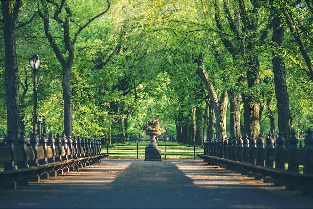Spring walk: the most scenic parks in new York
