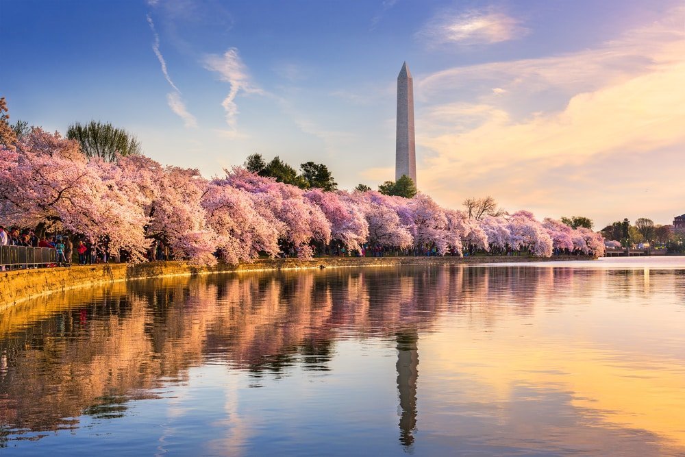 Top 25 destinations in the US according to TripAdvisor (photos)