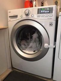 3-year-old girl trapped in running washing machine while parents sleep