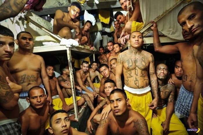 The U.S. Department of state: immigration policy trump strengthens street gang
