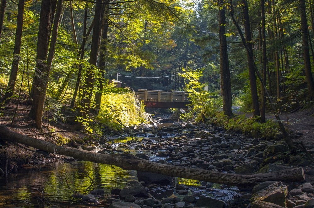 Top 8 the most beautiful natural pools in the state of new York