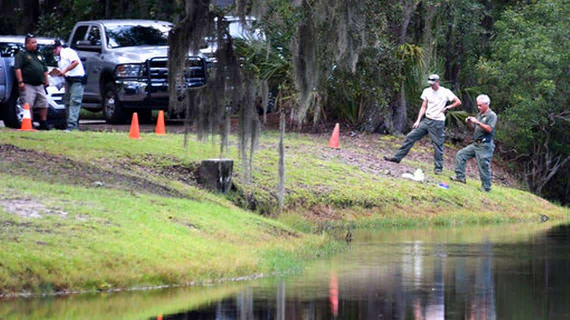 In the United States in the popular resort alligator killed a woman protecting her dog