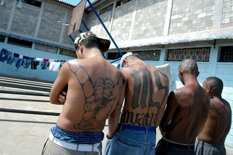 Hunt continues: in Texas arrested members of MS-13 killed a police informant with a machete