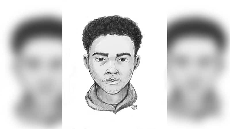 Attention! The NYPD is looking for a teenager who raped 11-year-old girl in the Bronx