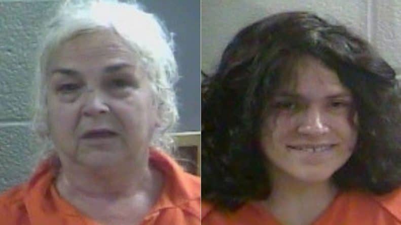 In the US, the mother and grandmother were arrested after a newborn in a dirty diaper found on the floor of the van, where crawling ants