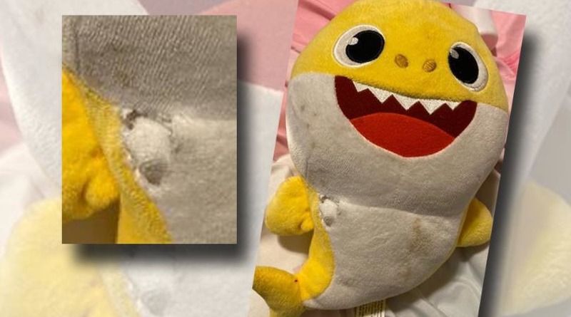 Soft toy shark «took over» a stray bullet that flew into the bedroom of a sleeping child