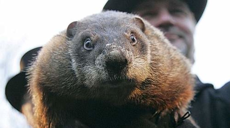 Animal protection organization calls to replace famous Groundhog Phil with robot