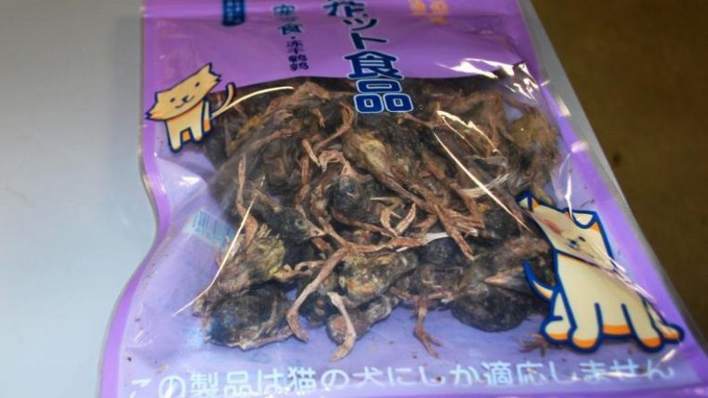 In a U.S. airport traveler from China was a bag with dead birds (photo)