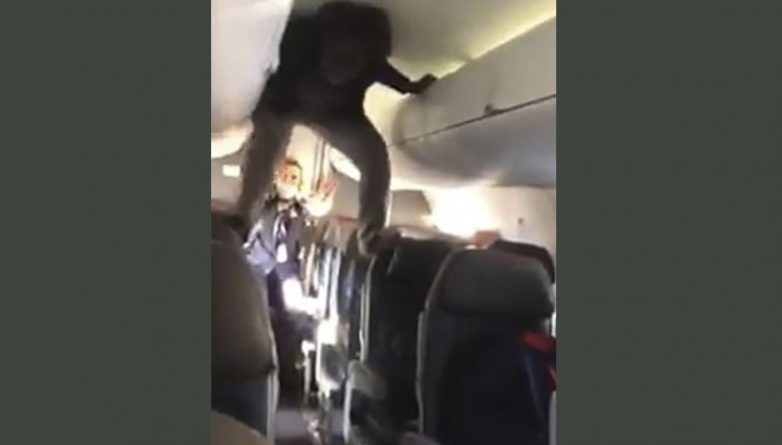 The Exorcist passenger was taken off the flight when she climbed into the seats and burst into curses