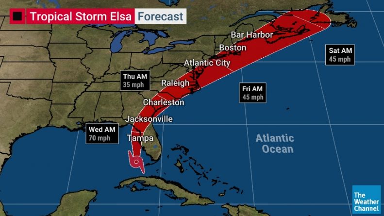 Tropical storm Elsa has reached the coast of Florida