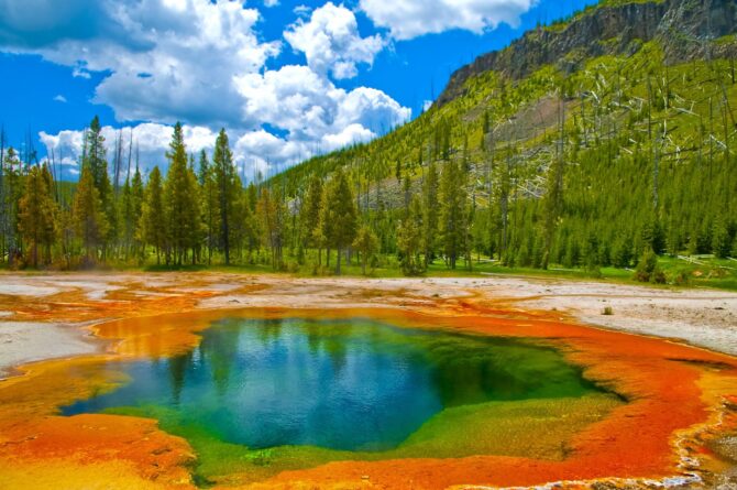 20+ Interesting Facts About Yellowstone National Park