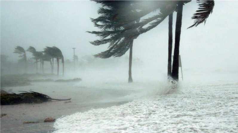 New tropical storm hits Florida coast