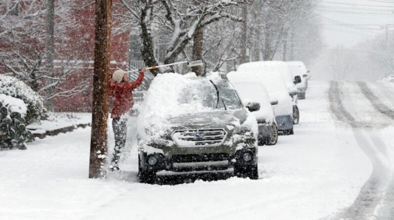 Hundreds of accidents and thousands of houses without electricity: a snow storm hits the USA