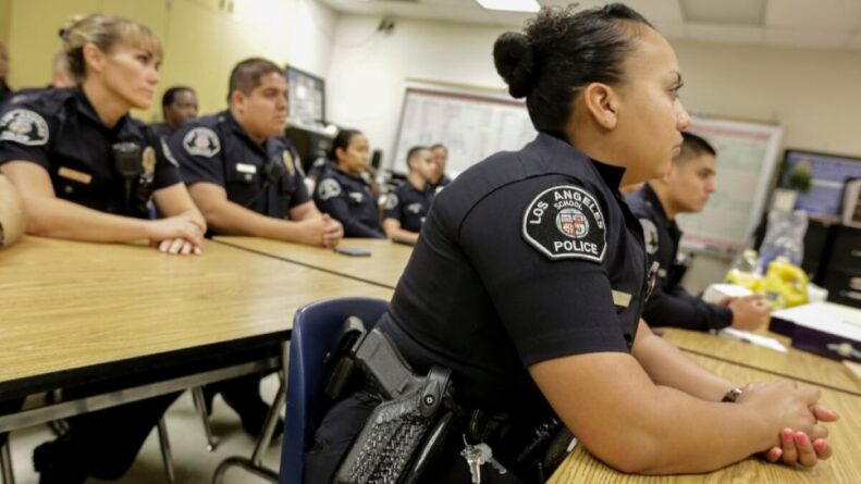 How much do police officers earn and how do they live in the USA?