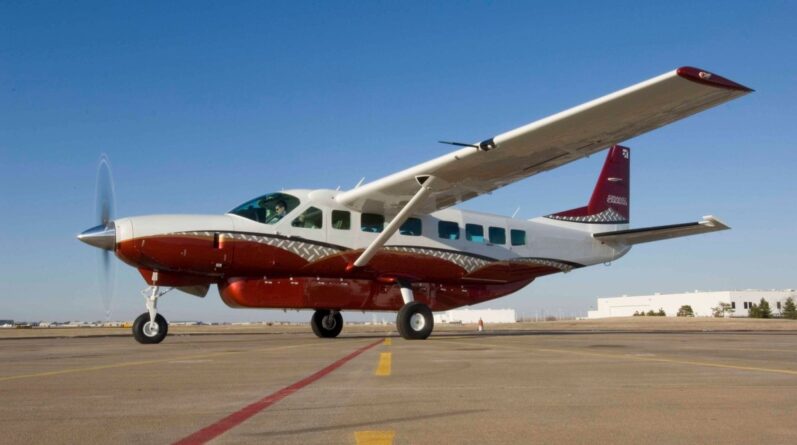 US passenger lands plane after pilot loses consciousness